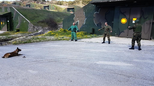 Αξιολόγηση Στοιχείων Εκπαιδευμένων Συνοδών Σκύλων - Φωτογραφία 3