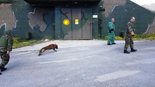 Αξιολόγηση Στοιχείων Εκπαιδευμένων Συνοδών Σκύλων - Φωτογραφία 4