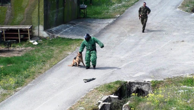 Αξιολόγηση Στοιχείων Εκπαιδευμένων Συνοδών Σκύλων - Φωτογραφία 9