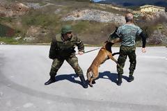 Αξιολόγηση Στοιχείων Εκπαιδευμένων Συνοδών Σκύλων