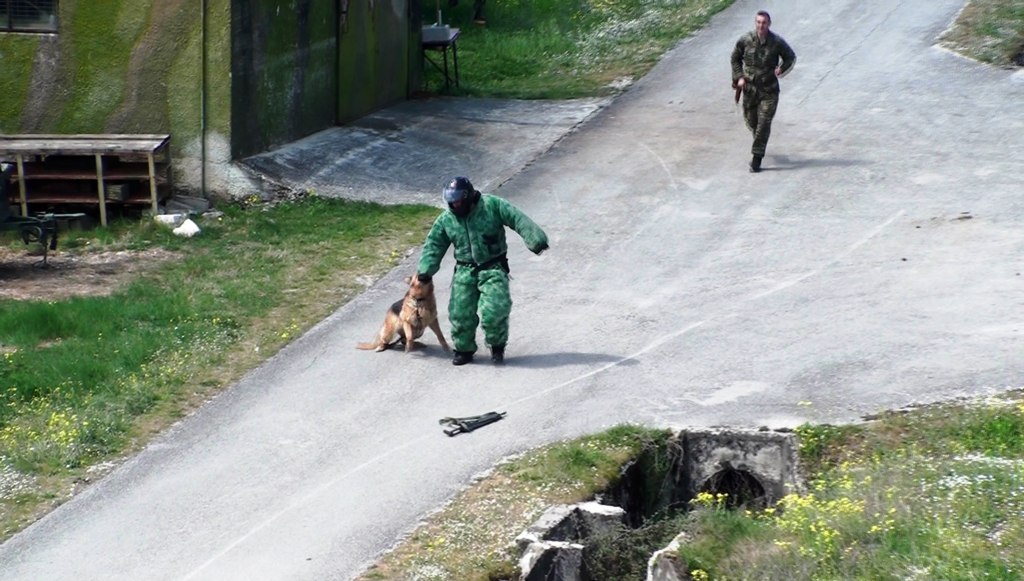 Αυτοί είναι οι μάχιμοι σκύλοι του Στρατού Ξηράς! - Φωτογραφία 10
