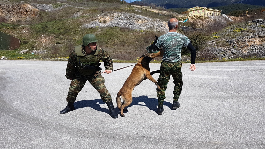 Αυτοί είναι οι μάχιμοι σκύλοι του Στρατού Ξηράς! - Φωτογραφία 2