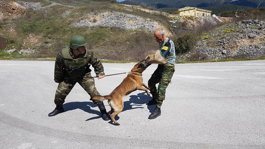 Αυτοί είναι οι μάχιμοι σκύλοι του Στρατού Ξηράς! - Φωτογραφία 8