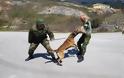 Αυτοί είναι οι μάχιμοι σκύλοι του Στρατού Ξηράς! - Φωτογραφία 8