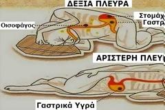 Γιατί είναι καλύτερο να κοιμάστε στην αριστερή σας πλευρά - 6 Λόγοι για τους οποίους πρέπει να κοιμάσαι από τα αριστερά