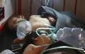 Φρίκη στη Συρία με 80 νεκρούς από χημικά - Βομβάρδισαν και το νοσοκομείο - Φωτογραφία 4