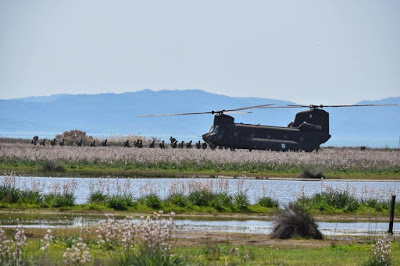 Εντυπωσιακή άσκηση με ρίψη αλεξιπτωτιστών από ελικόπτερο Chinook στις αλυκές Καλλονής Λέσβου - Φωτογραφία 5