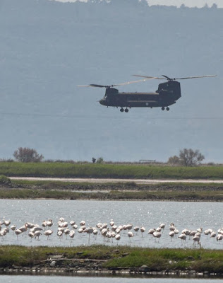 Εντυπωσιακή άσκηση με ρίψη αλεξιπτωτιστών από ελικόπτερο Chinook στις αλυκές Καλλονής Λέσβου - Φωτογραφία 8