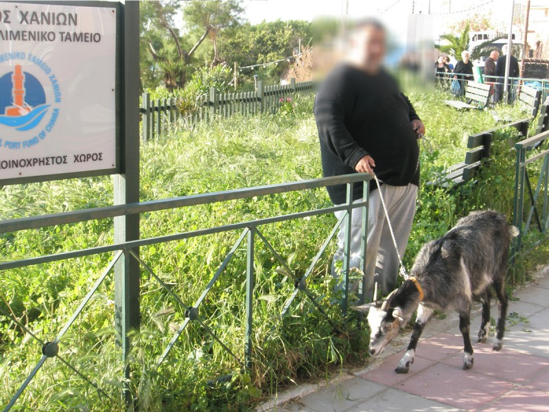 Απίστευτο τρολάρισμα Χανιώτη στον δήμο Χανίων [photos] - Φωτογραφία 2