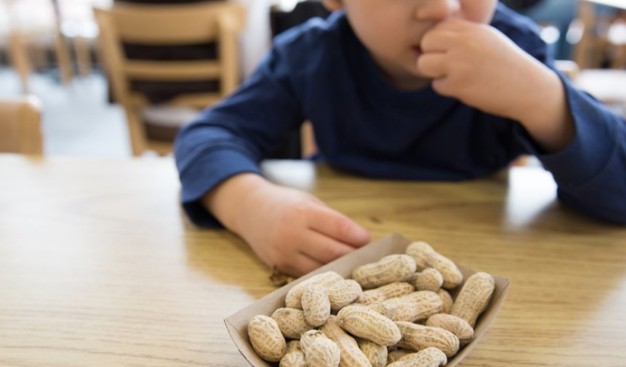 Ποιες τροφές είναι υπεύθυνες για τις παιδικές αλλεργίες - Φωτογραφία 1