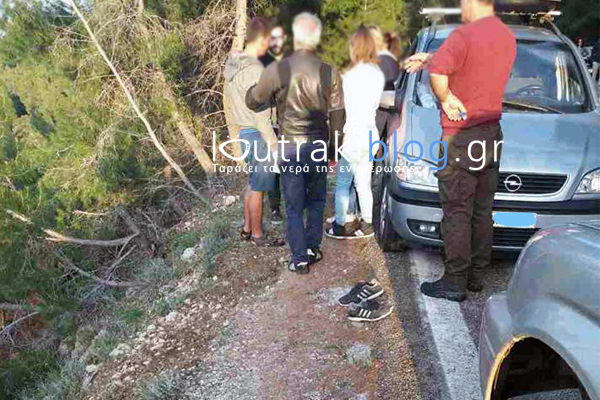 Σχίνο: Αυτοκίνητο έπεσε στο γκρεμό στο Σχίνο - Ένας σοβαρά τραυματίας - Φωτογραφία 5