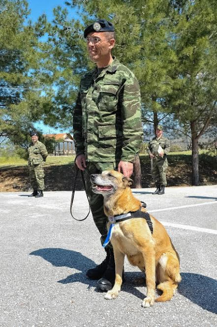 Βράβευση Στρατιωτικού Σκύλου - Φωτογραφία 1