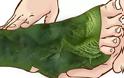 Παίρνει φύλλα από λάχανο και τυλίγει τα πόδια της. Μόλις δείτε γιατί θα εκπλαγείτε