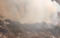 Να παρέμβει ο Εισαγγελέας Περιβάλλοντος: Καίγεται πάλι ο Στίκας - Οι πολίτες εισπέουν Καρκίκο; [photos] - Φωτογραφία 2