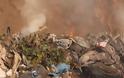 Να παρέμβει ο Εισαγγελέας Περιβάλλοντος: Καίγεται πάλι ο Στίκας - Οι πολίτες εισπέουν Καρκίκο; [photos] - Φωτογραφία 7