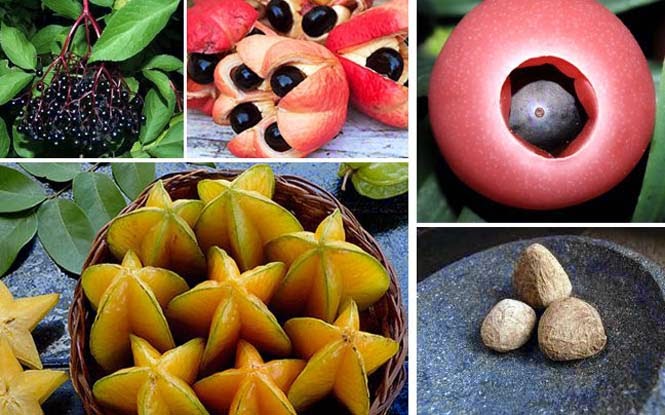 10 εξωτικά φρούτα που σκοτώνουν...[photos] - Φωτογραφία 1