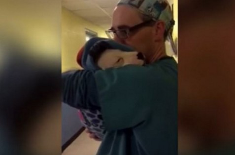 Ο σκύλος αυτός κλαίει ασταμάτητα μετά την επέμβαση - Ο τρόπος που τον παρηγορεί ο γιατρός του λυγίζει το διαδίκτυο video] - Φωτογραφία 1