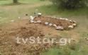Τάφος σε χωράφι στην Άσκρη Αλιάρτου - Τι θα ρίξει φως στην υπόθεση [photo+video] - Φωτογραφία 2