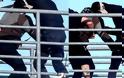 Εικόνα σοκ: Η στιγμή που χούλιγκαν του ΠΑΟΚ μαχαιρώνει οπαδό της ΑΕΚ - Φωτογραφία 2
