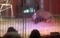 Λιοντάρι βούτηξε από τον λαιμό τον εκπαιδευτή του μπροστά στους θεατές τσίρκου