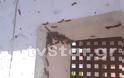 Απίστευτο φαινόμενο στη Λαμία: Χιλιάδες κάμπιες κυκλοφορούν στην πόλη και... [photos+video] - Φωτογραφία 10