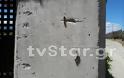 Απίστευτο φαινόμενο στη Λαμία: Χιλιάδες κάμπιες κυκλοφορούν στην πόλη και... [photos+video] - Φωτογραφία 18