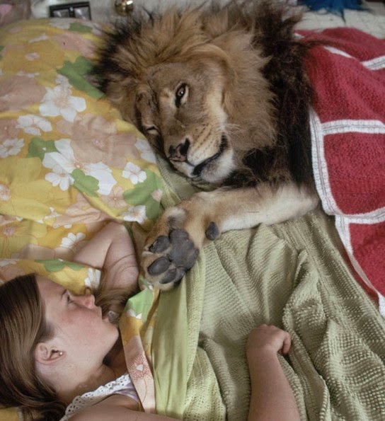 Σοκ - Αυτή η οικογένεια ζούσε με ένα πραγματικό Λιοντάρι! [photos] - Φωτογραφία 4