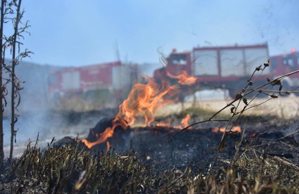 Συνελήφθησαν 5 Ρουμάνοι ως υπαίτιοι πρόκλησης πυρκαγιάς από πρόθεση στη Λακωνία - Φωτογραφία 1