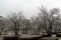 Η βροχή άραγε παγώνει; Δείτε τις φωτογραφίες και θα σας λυθεί η απορία! [photos]