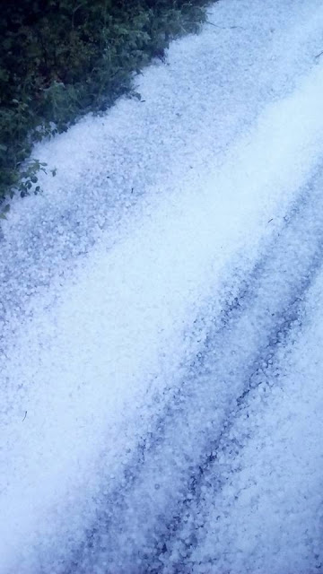Άσπρισε ο τόπος στις Κάτω Θέρμες - Χαλάζι που θυμίζει χιόνι - Φωτογραφία 2