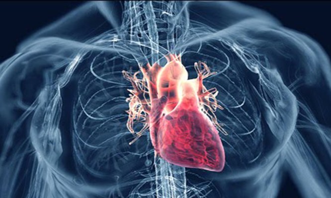 «Σιωπηλή» καρδιακή προσβολή: Προσοχή στα συμπτώματα – Πώς θα τα αναγνωρίσετε - Φωτογραφία 1