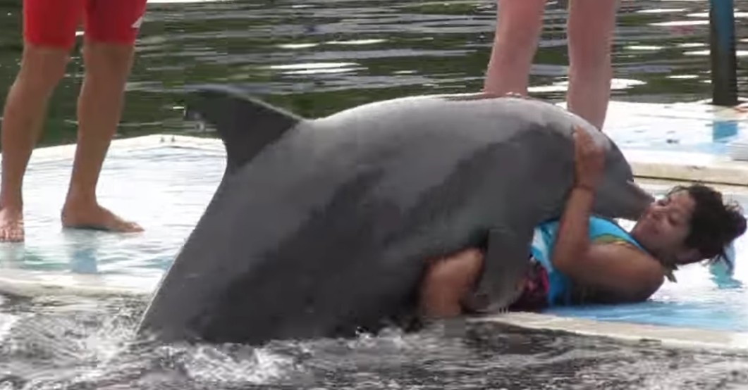 ΑΠΙΣΤΕΥΤΟ!  Δείτε τι κάνει το δελφίνι στην κοπέλα... [video] - Φωτογραφία 1