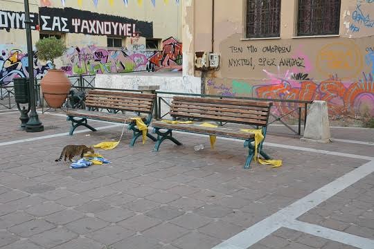 «Βάνδαλοι» έσκισαν και πέταξαν τις Ελληνικές σημαίες του Ι. Ναού Αγίου Θεράποντα Μυτιλήνης - Φωτογραφία 3