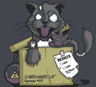 Ένα τραγούδι για τον γάτο του Schrödinger - Φωτογραφία 1