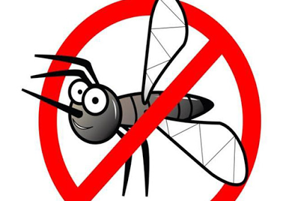 Αυτό είναι το κόλπο για να μην σας τσιμπήσουν τα κουνούπια ποτέ ξανά! - Φωτογραφία 1