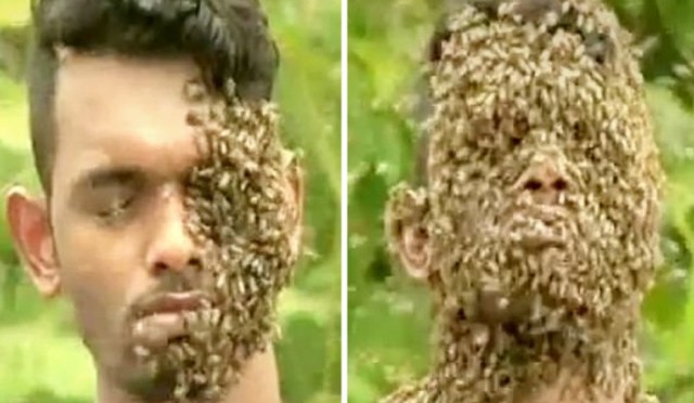 Νεαρός αφήνει 60.000 μέλισσες να… ''ξεκουραστούν''  στο κεφάλι του - Φωτογραφία 1