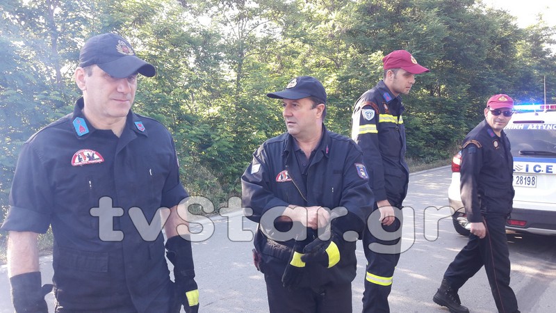 Τροχαίο μετά τη γέφυρα του Σπερχειού - Τα χόρτα έσωσαν τον οδηγό - Φωτογραφία 6