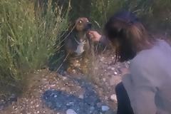 Iωάννινα: Πρέσβης, Υπουργοί Και Υφυπουργοί συντονίστηκαν για να σώσουν τον Λίνο [photos]