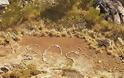 Μυστήριο με SOS που βρέθηκε γραμμένο σε ερημική περιοχή της Αυστραλίας