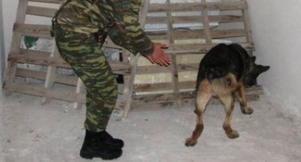 Καταδικάστηκε στρατιωτικός στα Χανιά για κακοποίηση σκύλου - Φωτογραφία 1