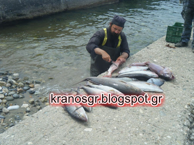 Το kranosgr στο Μοναστήρι των Στρατιωτικών στο Άγιον Όρος - Φωτογραφία 13