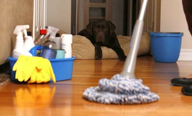 Πόσο συχνά πρέπει να καθαρίζονται 4 αντικείμενα του σπιτιού - Φωτογραφία 1