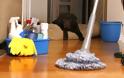 Πόσο συχνά πρέπει να καθαρίζονται 4 αντικείμενα του σπιτιού