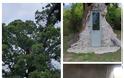 Κόνιτσα:Το Δέντρο που μετατράπηκε σε Εκκλησιά του Άγιου Παΐσιου - Φωτογραφία 5