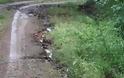 Απίστευτο βίντεο - Κατακλυσμός στη Πύλη [video] - Φωτογραφία 2