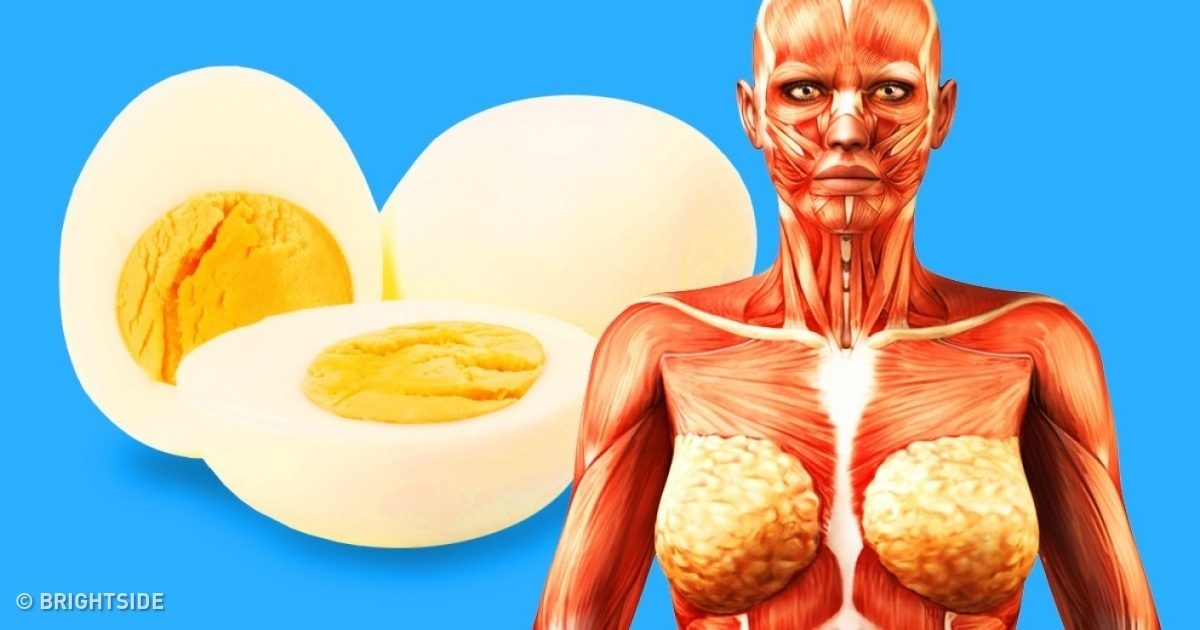 9 πράγματα που θα συμβούν στο σώμα σας αν αρχίσετε να τρώτε 2 αβγά κάθε μέρα - Φωτογραφία 1