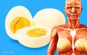 9 πράγματα που θα συμβούν στο σώμα σας αν αρχίσετε να τρώτε 2 αβγά κάθε μέρα