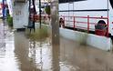 Πνίγηκε και η Λιβαδειά από τα πρωτοφανή καιρικά φαινόμενα -  Πλημμύρισαν δρόμοι και υπόγεια σπιτιών