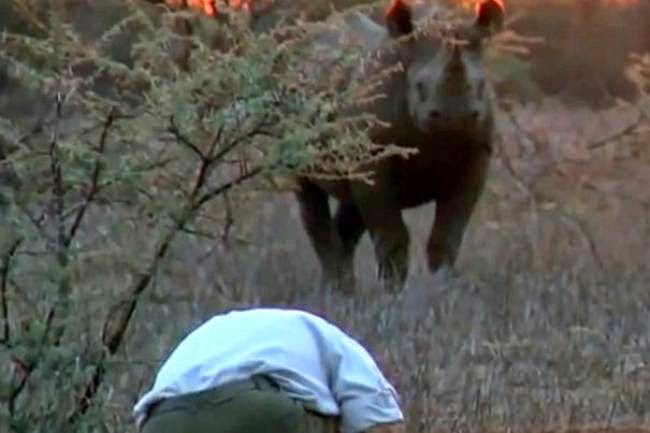 Άνδρας έρχεται αντιμέτωπος με σπάνιο και επιθετικό μαύρο ρινόκερο - Η κατάληξη αυτής της συνάντησης, θα σας εκπλήξει… [video] - Φωτογραφία 1