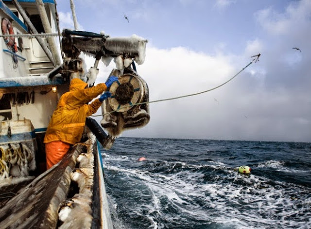 Δείτε μέσα από μερικές εκπληκτικές φωτογραφίες πόσο δύσκολο και επικίνδυνο είναι να είσαι ψαράς στην Αλάσκα - Φωτογραφία 7